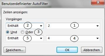 MS_Project_2013_Dialogfenster_AutoFilter